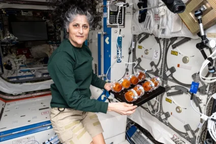 Sunita Williams:আৰু মাজত কেইটামান ঘণ্টা! ৯ মাহ মহাকাশত আৱদ্ধ হোৱা সুনীতা উইলিয়ামছক কেনেদৰে আনিছে ঘৰলৈ?